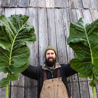 Thousandhead Kale Seeds | Baker Creek Heirloom Seeds