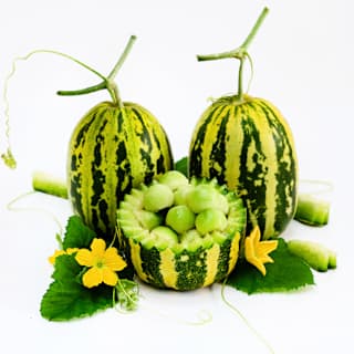 Japanese Tiger Melon Seeds | Baker Creek Heirloom Seeds