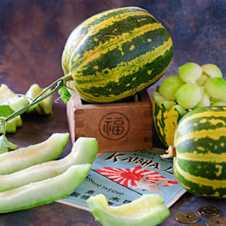 Japanese Tiger Melon Seeds | Baker Creek Heirloom Seeds