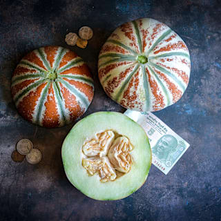 Kajari Melon Seeds | Baker Creek Heirloom Seeds