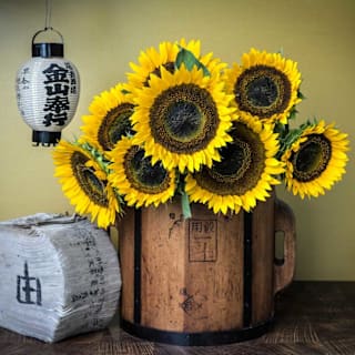 Taiyo Sunflower Seeds | Baker Creek Seeds