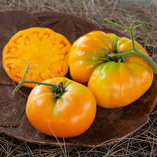 Kentucky Beefsteak Tomato | Baker Creek Heirloom Seeds