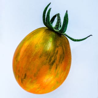 Apricot Zebra Tomato Seeds | Baker Creek Heirloom Seeds