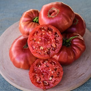 tomato様　GROVERタンバリン　マレット tomato様 GROVERタンバリン マレット グローバー - コマキ通商ウェブ