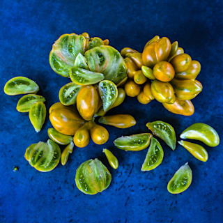 Phil's Two Tomato Seeds | Baker Creek Heirloom Seeds