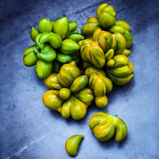 Phil's Two Tomato Seeds | Baker Creek Heirloom Seeds