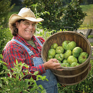 Green Giant Tomato Seeds | Baker Creek Heirloom Seeds