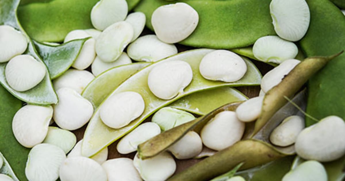 artificial green plants in pots 21in Long Monstera Plant In Cement Pot