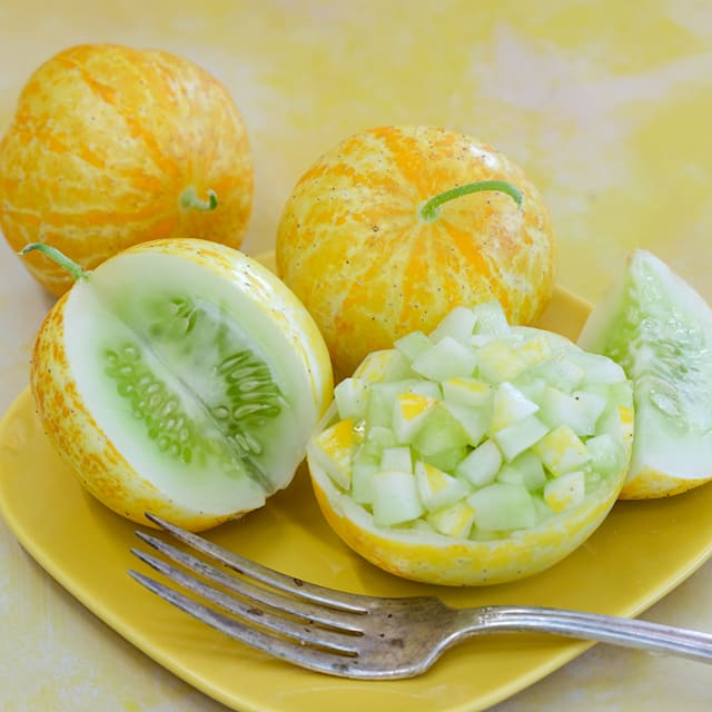 Lemon Cuke Cucumber Seeds Baker Creek Heirloom Seeds