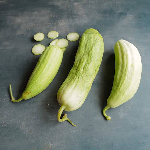 Xylangouro Melon Cucumber Seeds | Baker Creek Heirloom Seeds