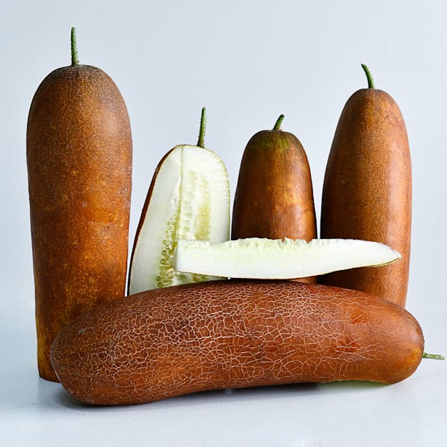 Cucumber Seeds Gagon| Baker Creek Heirloom Seeds