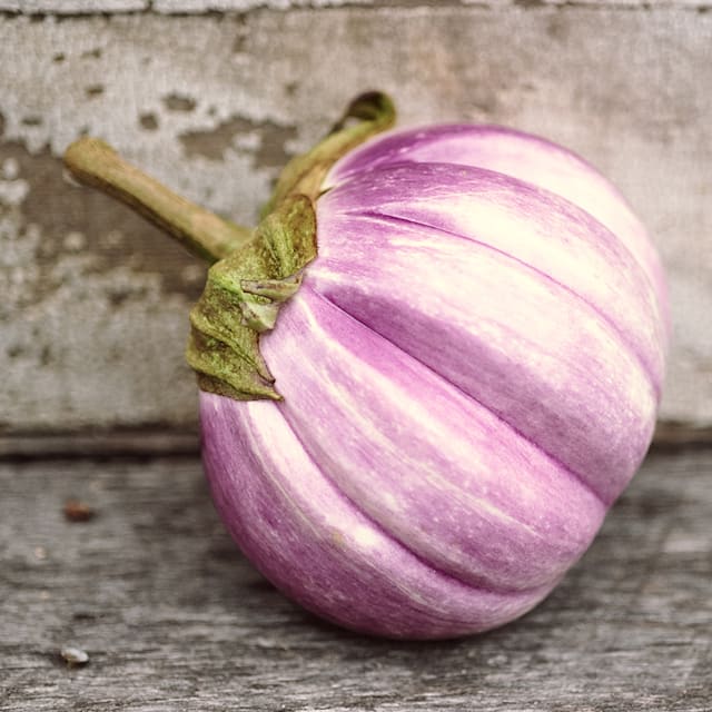 Rosa Bianca Eggplant Seeds | Baker Creek Heirloom Seeds