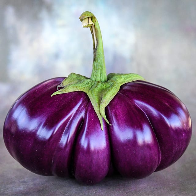 Thai Purple Ribbed Eggplant Seeds | Baker Creek Seeds