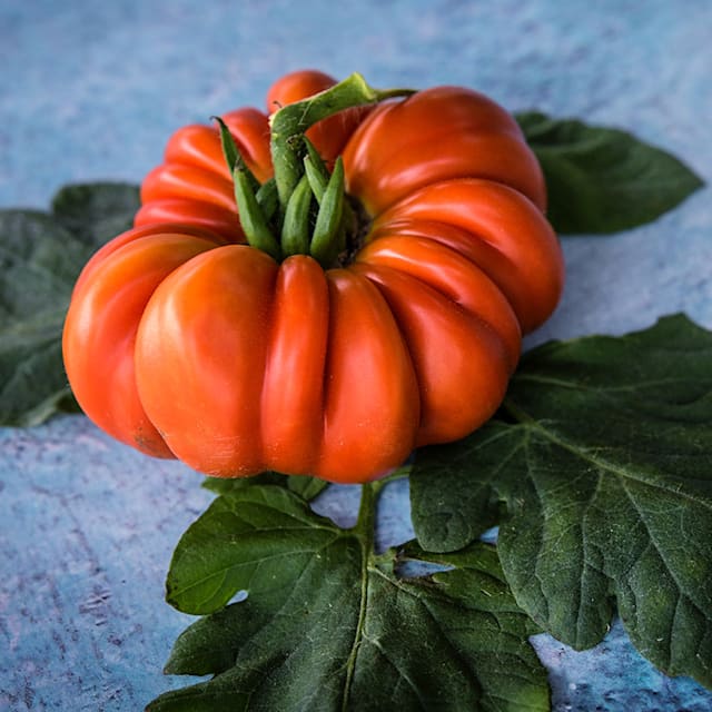 Tomato, Burmese Sour