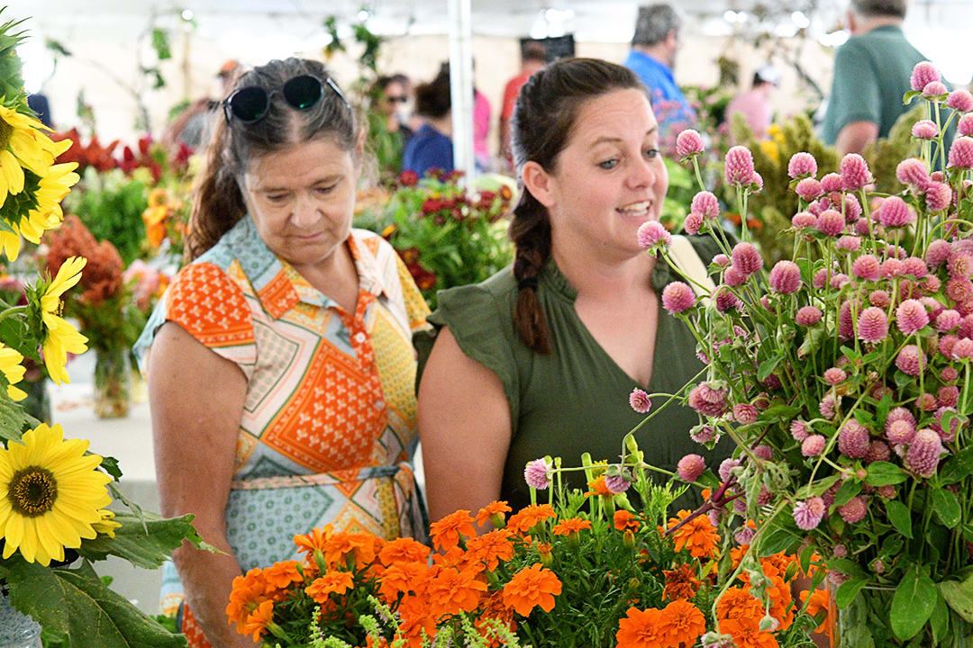 Two visitors admiring sunflowers, marigolds and celosia on the exhibit-tent display tables