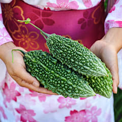 Abashi Bitter Melon Seeds | Baker Creek Heirloom Seeds