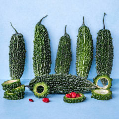 Abashi Bitter Melon Seeds | Baker Creek Heirloom Seeds