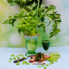 D'Elne Celery Seeds | Baker Creek Heirloom Seeds