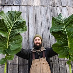 Thousandhead Kale Seeds | Baker Creek Heirloom Seeds