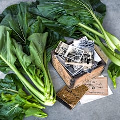 1,000 Komatsuna Tendergreen Spinach Mustard Seeds for Planting Heirloom Non GMO 2 1,000 Komatsuna Tendergreen Spinach Mustard Seeds for Planting Heirloom Non GMO 2