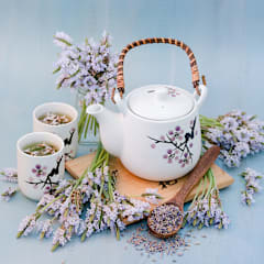 Torch Minty Ice Lavender Seed | Baker Creek Heirloom Seeds