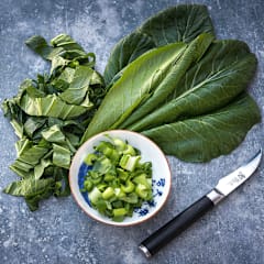 Old Tokyo Komatsuna Seeds | Baker Creek Heirloom Seeds