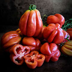 Gezahnte Tomato | Baker Creek Heirloom Seeds