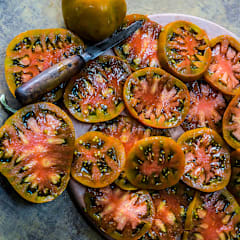 Windowsノート本体 TOMATO Brandywine Pink Tomato (Sudduth), 1880's Heirloom, organic options