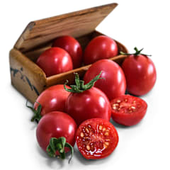 German Lunchbox Tomato Seeds | Baker Creek Seeds