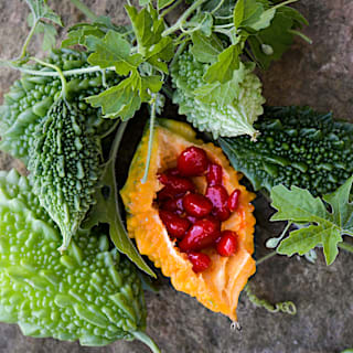 Siamese Bitter Melon | Baker Creek Heirloom Seeds