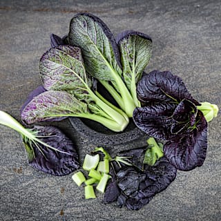Purple Lady Bok Choy Seeds | Baker Creek Heirloom Seeds