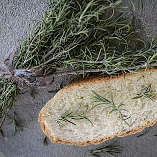 Rosemary (Rosy) Seeds | Baker Creek Heirloom Seeds