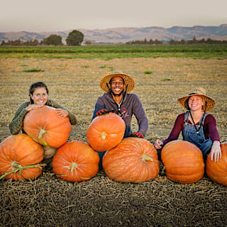 Big Max Pumpkin Squash Seeds | Baker Creek Heirloom Seeds