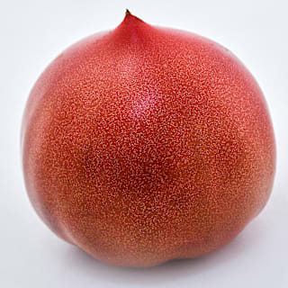 Aichi First Tomato Seeds | Baker Creek Heirloom Seeds
