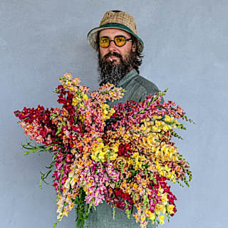 レア・ブレンド　Rare Blend Snapdragon Seeds, Bizarre Mixed