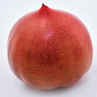 1:摘果桃　12kg Aichi First Tomato Seeds | Baker Creek Heirloom Seeds