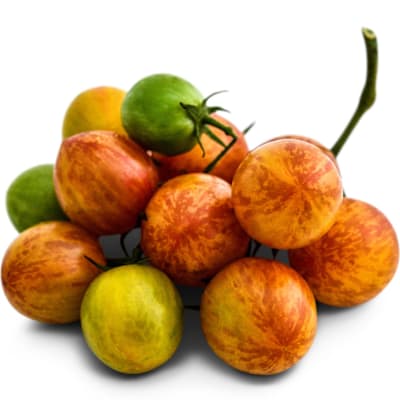 Sunrise Bumble Bee Tomato - orange cherry with red stripes