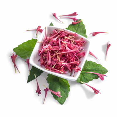 Raspberry Daiquiri &mdash; bright raspberry-pink agastache spikes