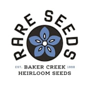 Coleus, Colocha Sunset Seeds | Baker Creek Heirloom Seeds