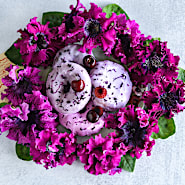 buy flower seeds online Mixed Zinnia Flower seeds for Planting - Vibrant C main image 1