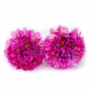 Armeria Maritima Seeds