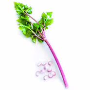 Celery Seeds