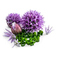 Chive Seeds