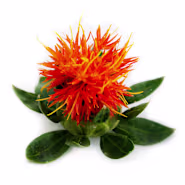 Safflower Seeds