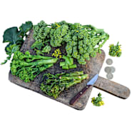 Natalina di Fasano Cima Grande Broccoli on a cutting board on a white background.