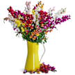 Snapdragon Seeds, Flames