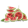 Watermelon Seeds, Charleston Gray