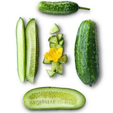 Whole and sliced Boston Pickling Cucumbers on a white background.