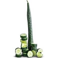 China Jade Cucumber on a white background.