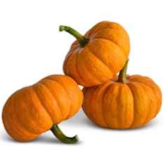 PUMPKIN学園/PumpKin 8mmCD PumpKin「PumpKin学園」 | High-DA！のブログ